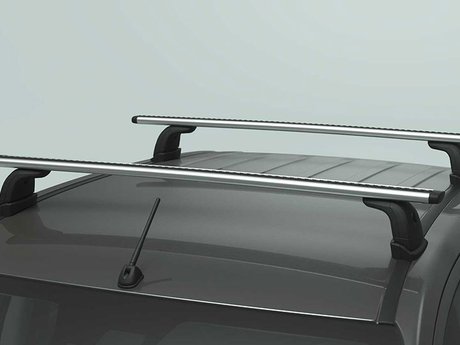 Roof Carrier System