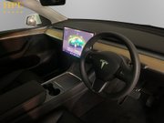 Tesla Model Y (Dual Motor) Long Range SUV 5dr Electric Auto 4WDE (384 bhp) Pan Roof - Sat 12