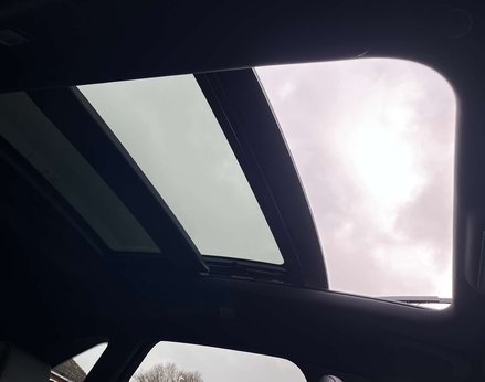 Ford Kuga 1.5 Kuga ST-Line X Edition EcoBlue Auto 5dr 79