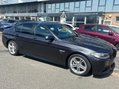 BMW 5 Series 2.0 520d M Sport Auto Euro 6 (s/s) 4dr 9