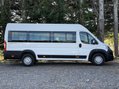 Citroen Relay 40 L4H2 17 SEAT LIGHTWEIGHT NON-D1 MINIBUS with RAMP, SENSORS. Euro 6 13