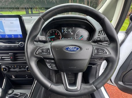 Ford Ecosport ACTIVE 31