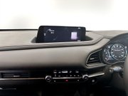 Mazda CX-30 2.0 e-SKYACTIV G MHEV Homura SUV 5dr Petrol Manual Euro 6 (s/s) (122 ps) 18