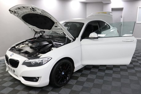 BMW 2 Series 2.0 218d SE Euro 6 (s/s) 2dr 16