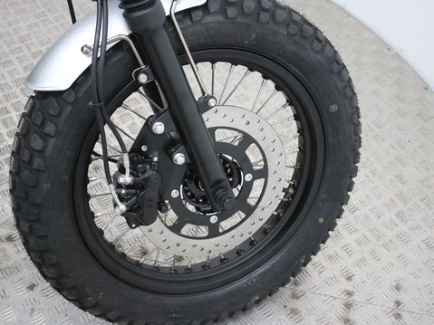 Mutt Akita 125 Pre-registered 23