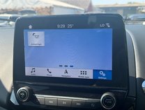 Ford Ecosport 1.0T EcoBoost GPF ST-Line SUV 5dr Petrol Auto Euro 6 (s/s) (125 ps) 24