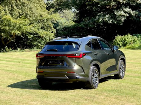 Lexus NX 350H 14