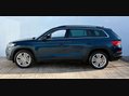 Skoda Kodiaq 2.0 Kodiaq SE L TSi 4x4 Semi-Auto 4WD 5dr 53