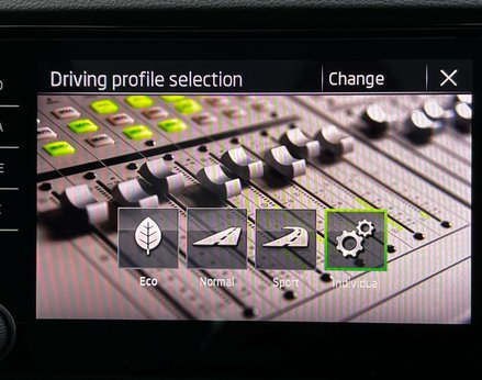 Skoda Karoq 1.5 Karoq Sportline TSi Semi-Auto 5dr 48