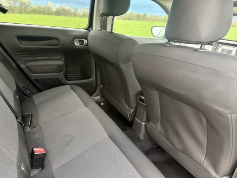 Citroen C4 Cactus BLUEHDI FLAIR 10