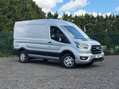Ford Transit 350 LIMITED P/V ECOBLUE 9