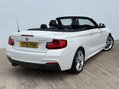 BMW 2 Series 2.0 220d M Sport Auto 2dr 20