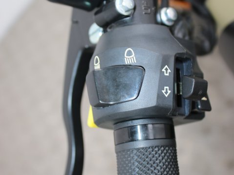 Mutt Akita 125 Pre-registered 16