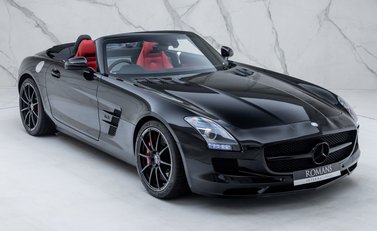 Mercedes-Benz SLS AMG ROADSTER 14