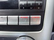 Mercedes-Benz SLK SLK250 CDI BLUEEFFICIENCY 21