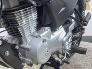 Honda CBF125 CBF125 2012 ONLY 5K VERY CLEAN 125CC LEARNER BIKE COMMUTER 25