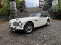 Austin Healey 3000 2