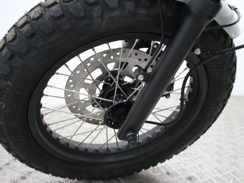 Mutt Mastiff 125 Pre-registered 16