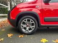 Fiat Panda RED MHEV 34