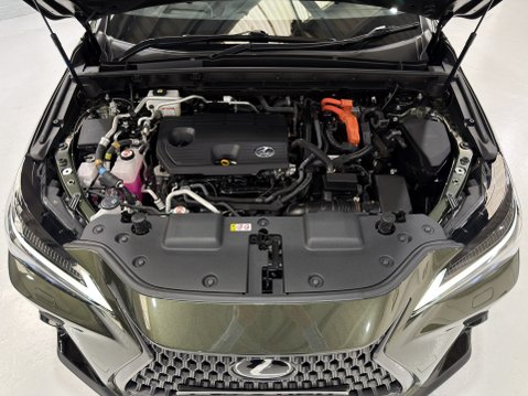 Lexus NX 450H PLUS TAKUMI 13