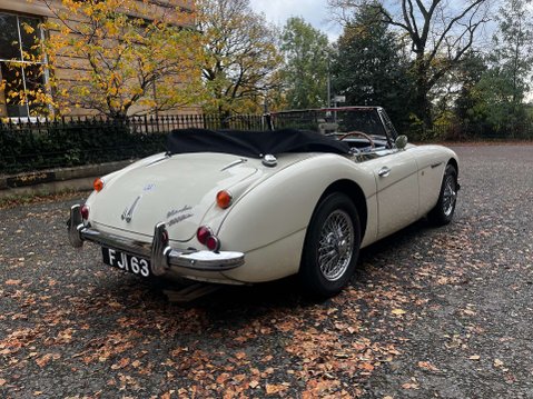 Austin Healey 3000 7
