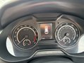 Skoda Octavia VRS TDI DSG 31