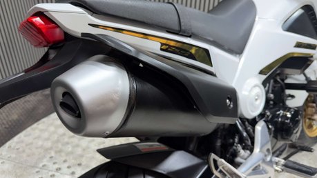 Honda MSX125 2015 ONLY 8K VERY CLEAN MINI MONKEY BIKE 125CC 31