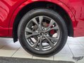 Ford Kuga 1.5T EcoBoost ST-Line Edition Euro 6 (s/s) 5dr 72