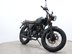 Mutt Mongrel 125 Pre-registered 15