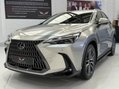 Lexus NX 450H PLUS TAKUMI 14