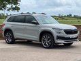 Skoda Kodiaq 2.0 TDI SportLine DSG 4WD Euro 6 (s/s) 5dr (7 Seat) 1