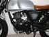 Mutt Akita 125 Pre-registered 16