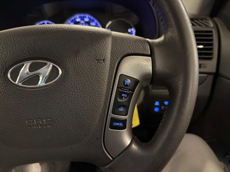 Hyundai SANTA FE 2.2 CRDi Premium Auto 4WD Euro 5 5dr (5 seat) 30