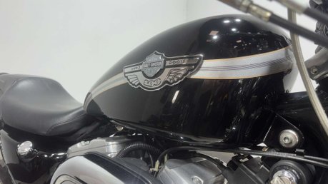 Harley-Davidson Sportster 883 2003 ONLY 8K NEW MOT IDEAL FIRST HARLEY READY TO RIDE A2 14