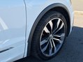 Volkswagen Tiguan 2.0 TDI R-Line DSG 4Motion Euro 6 (s/s) 5dr 29