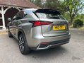 Lexus NX 300H 24