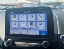 Ford Ecosport 1.0T EcoBoost GPF ST-Line SUV 5dr Petrol Auto Euro 6 (s/s) (125 ps) 22