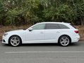 Audi A4 2.0 A4 S Line TDI 5dr 23