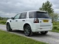 Land Rover Freelander SD4 DYNAMIC 6