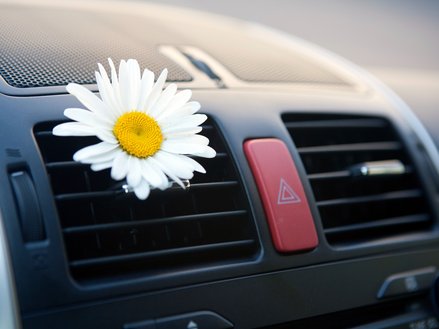 Looking to Sell Your Car? 2