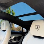 Lamborghini Urus Service History