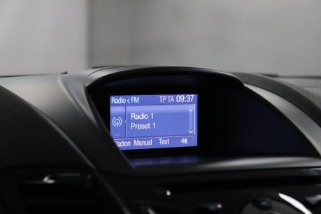 Ford Fiesta ZETEC 37