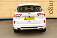 Ford Kuga VIGNALE 6