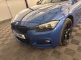 BMW 3 Series 3.0 335d M Sport Auto xDrive Euro 6 (s/s) 4dr 39