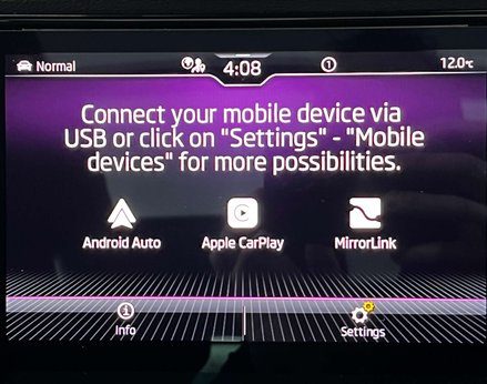 Skoda Karoq 1.5 Karoq Sportline TSi Semi-Auto 5dr 39