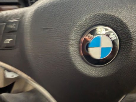 BMW 3 Series 2.0 320i SE Euro 5 (s/s) 2dr 36
