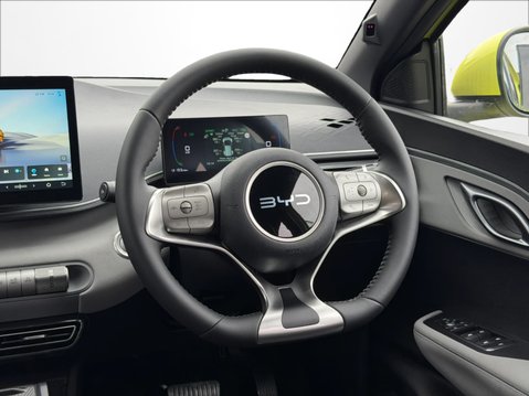 BYD Dolphin Surf 65kw Boost 43kwh Auto 17