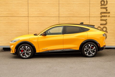 Ford Mustang Mach-E BASE 15