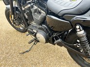 Harley-Davidson Sportster Iron XL 1200 CX ROADSTER 17 15