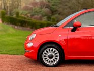Fiat 500 STANDARD 27